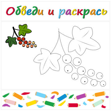 Red currant. Task name "Trace and Color" in Russian. A page of a coloring book with a colorful berry. Repair the dotted line. Educational game. Cartoon style. Vector illustration for children, eps