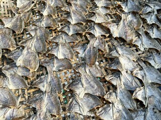 Naklejka premium dry salty nile tilapia fish on bamboo floor