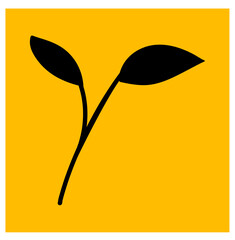 Leaves Plant in Rectangle Shape
