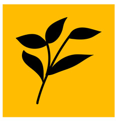 Leaves Plant in Rectangle Shape
