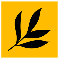 Leaves Plant in Rectangle Shape
