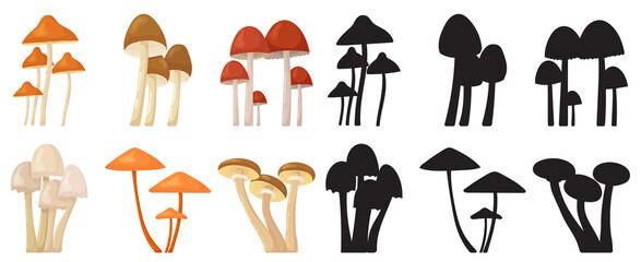 mushroom set on white background set vector - obrazy, fototapety, plakaty