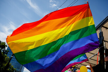 Lgbt pride rainbow flag during parade in the city .