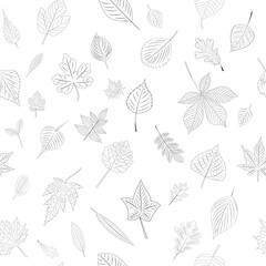 contour leaves seamless white background , vector
