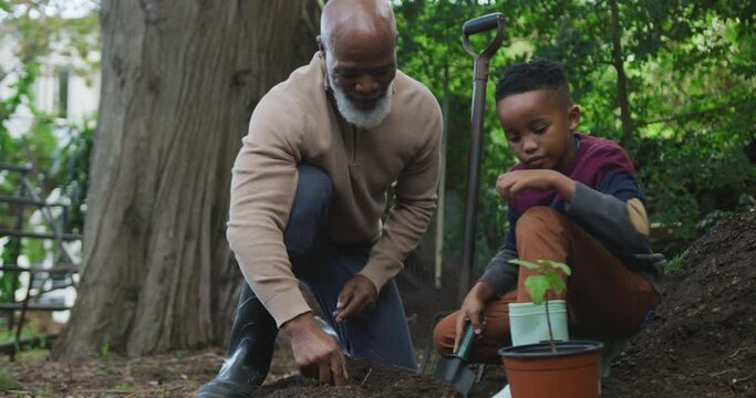 Happy senior african american man with his grandson planting in garden