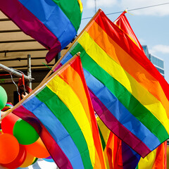 Many waving LGBT gay pride flags at a solidarity march.