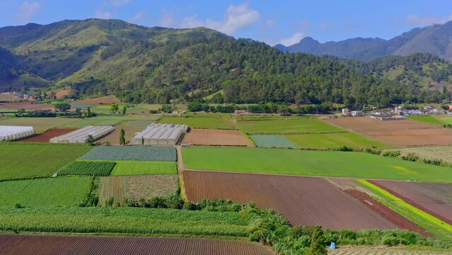 Panoramic View Of Agricultural Fields With Organic Crops Near Constanza Valley In The Dominican Republic. Aerial Wide Shot