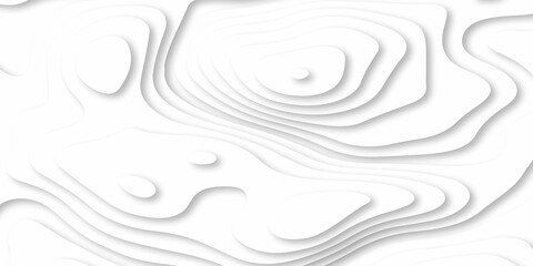 Abstracts Luxury paper cut background, Abstract decoration, white pattern gradients, 3d Vector illustration, topographic canyon map light relief texture, curved layers and shadow.
