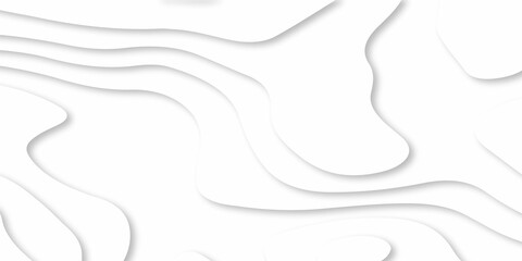 Abstracts Luxury paper cut background, Abstract decoration, white pattern gradients, 3d Vector illustration, topographic canyon map light relief texture, curved layers and shadow.