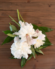 White Peony Flowers on Wood Background