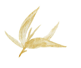 Fototapeta premium Watercolor japan leaf, Watercolor illustrations Bamboo Watercolor Asian Style Painting.