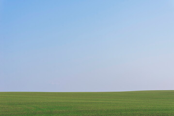 Naklejka na ściany i meble Green field with blue sky as background.