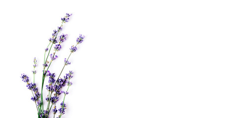 Beautiful fresh and fragrant lavender sprig on isolated background. View from above
