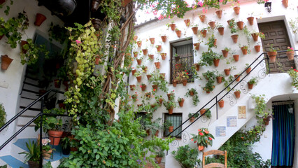 Cordoba, Spain, September 13, 2021: The flowery patios (Los Patios de Córdoba) of San Basilio neighborhood in the historic center of Cordoba, Andalusia. Flower-decorated courtyard.