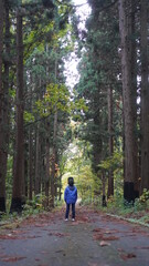 Fototapeta premium 杉を見上げる子供