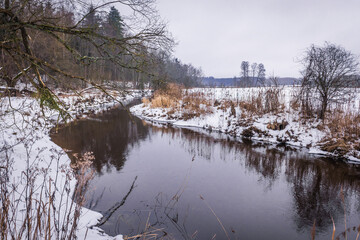 Narewka river, tributary of Narew river in Gruszki, small village on the edge of Bialowieza Forest, Poland