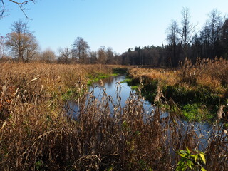 view of the river near Suprasl
