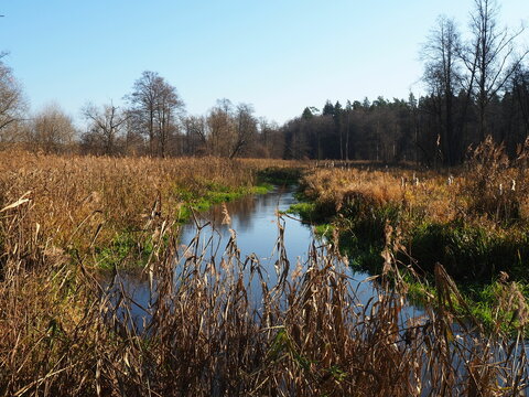 view of the river near Suprasl