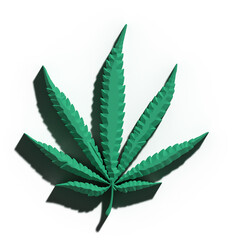 3D Realistic Marijuana seedlings have a drop of water. herb , Green leaf