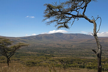 Landscape Tanzania