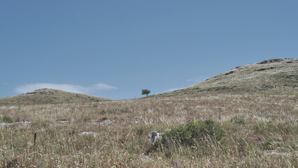 Rocca del Garagnone - Gravina in Puglia © cicciogiuliani