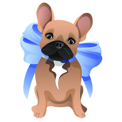 Brown cute french bulldog with a blue bow around his neck