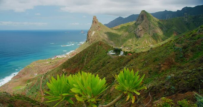 The woman walking on the hill on the seascape background. Spring gren landscape in mountains of Anaga National park. Tenerife.