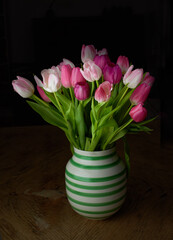 Pink tulips in ceramic vase holder isolated against a black background in studio with copy space. Pot plant of vibrant, blossoming, blooming flowers symbolising love. Sweet gesture for valentines day