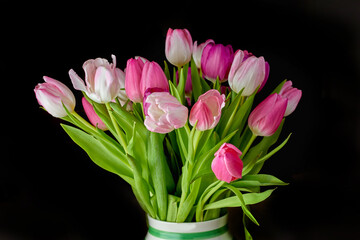 Pink bouquet of flowers growing in a vase against a black background. Beautiful flowering plants blooming in a jar displayed against a dark setup. Pretty tulips budding in a vessel on a table