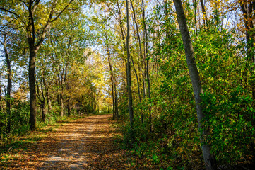 A path along the East River Trail in De Pere, Wisconsin