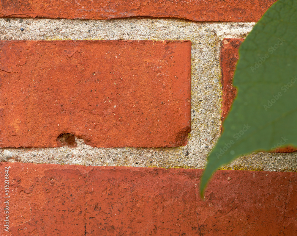 Poster closeup of red brick wall with a green leaf and copyspace. zoom in on details of a built structure w