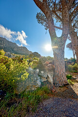 Remote mountain hiking trail on table mountain on a sunny day. Mountainous walking path high above a coastal city in South Africa against a blue horizon. Trees growing on an uphill mountain.