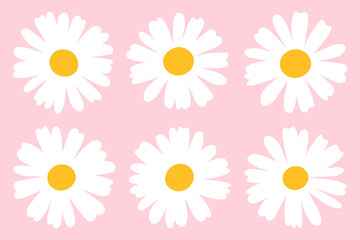 Set flowers daisies vector illustration