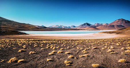 Laguna Verde (Bolivie)