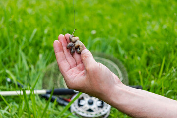 Close up Men's hands put bait on hook to fish with fishing rod. Lifestyle, recreation, leisure concept. Fisherman. Catching fish on the larva of the cockchafer.