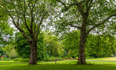 Fototapeta na wymiar Scenic view of Merrion Square Park in Dublin, Ireland