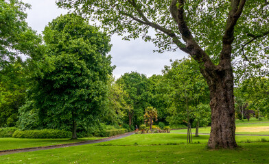 Fototapeta na wymiar Scenic view of Merrion Square Park in Dublin, Ireland