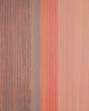Aerial view of a tulip field near 't Zand, North Holland, the Netherlands.