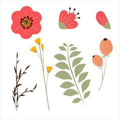 Set of hand drawing beautiful plants. Floral elements for your design flowers, berries, branches, leaves.