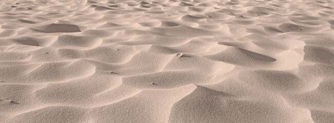 Beach sand from desert dunes along the coast in nature with copyspace on a sunny day. Closeup of a...