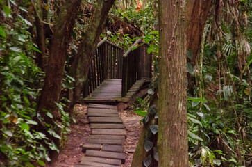 Fototapeta na wymiar Wooden bridge, surrounded by trees. Way of St. James, in Águas de São Pedro. Tourist point of Estancia de Águas de São Pedro.