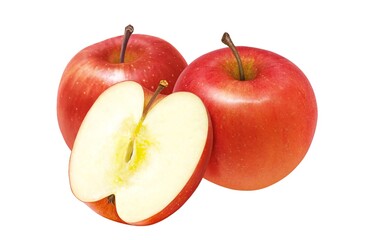 りんご リンゴ イラスト リアル セット