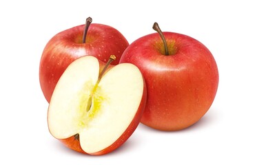 りんご リンゴ イラスト リアル セット
