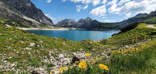 Bludenz, &Ouml;sterreich: Alpenblumen am L&uuml;nersee