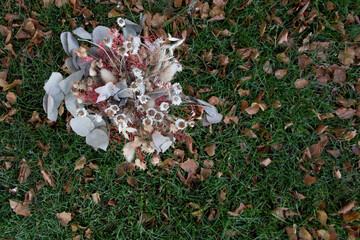 Dried flowers in a glass vase for decoration