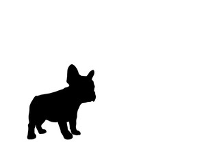 Hand drawn illustrations of French Bulldog shadow, isolated on white background. Design for Wallpaper, Print, Card, Cover, Banner, Logo and Web design.