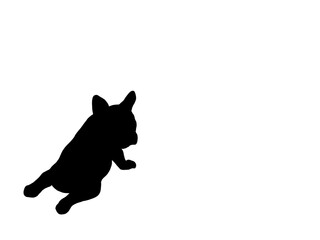 Hand drawn illustrations of French Bulldog shadow, isolated on white background. Design for Wallpaper, Print, Card, Cover, Banner, Logo and Web design.