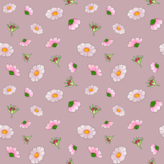 Watercolor seamless pattern of garden cosmos flowers