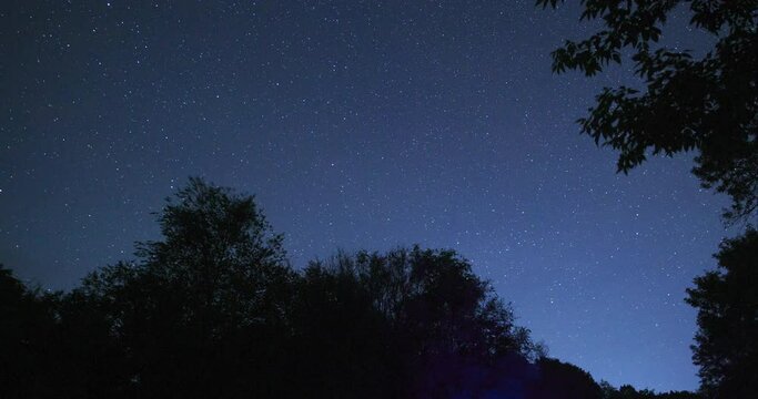 Starry sky on a dark night, the silhouette of trees on the background of the stars.Clouds move across the sky at night. The movement of stars in the sky. Timelapse