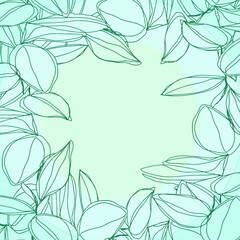botanical minimalism line art leaves vector frame